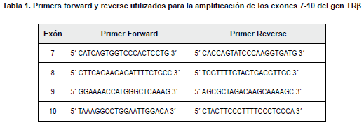 Primers forward amplificación de los exones 7-10 del gen TRβ Primers forward amplificación de los exones 7-10 del gen TRβ