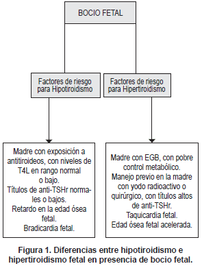 Hipotiroidismo e Hipertiroidismo fetal Hipotiroidismo e Hipertiroidismo fetal
