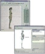 Postura lateral de la espalda