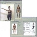 Postura posterior de la espalda