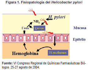 Fisiopatología del Helicobacter pylori Fisiopatología del Helicobacter pylori