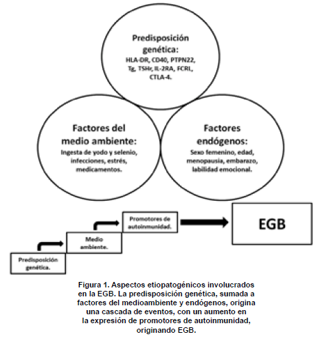 Aspectos etiopatogénicos en la EGB