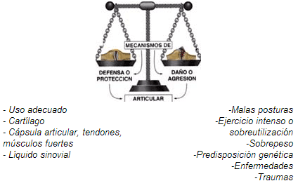 Mecanismo de articular Mecanismo de articular