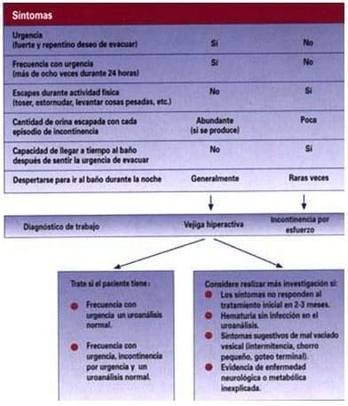 Síntomas para el diagnóstico diferencial de vejiga hiperactiva