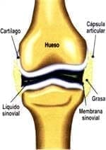 Esquema de una articulación