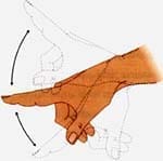 Movimientos normales de las articulaciones