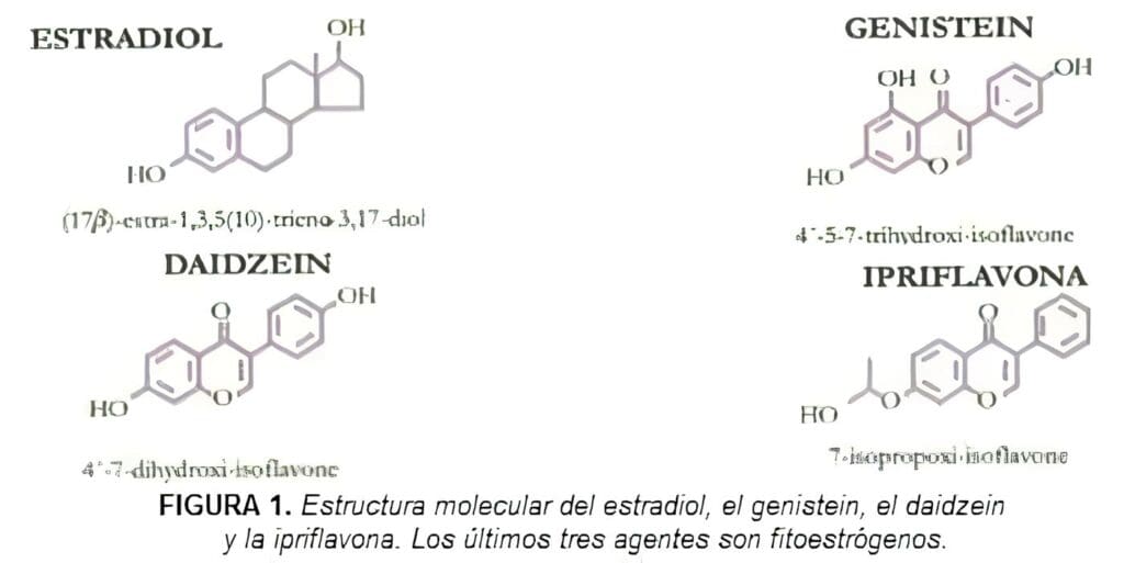 Estructura molecular del estradiol, Genistein, Daidzen y la Ipriflavona