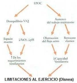Limitación al ejercicio y la disnea en pacientes con EPOC