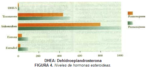 Niveles de hormonas esteroideas