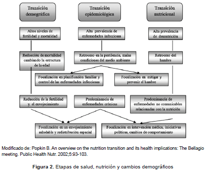 Etapas de salud nutrición Etapas de salud nutrición