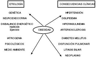 Etiología de la obesidad Etiología de la obesidad