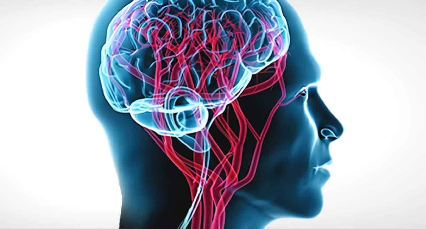 cerebro-mente