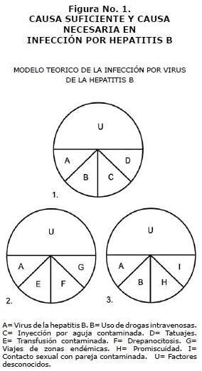 Causa suficiente y causa necesaria infección Hepatitis B