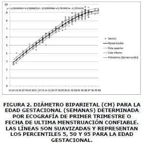 Diametro biparietal Diametro biparietal