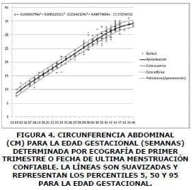 Curvas de Crecimiento Fetal, Circuferencia abdominal Curvas de Crecimiento Fetal, Circuferencia abdominal