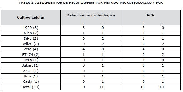 Aislamientos de micoplasmas Aislamientos de micoplasmas