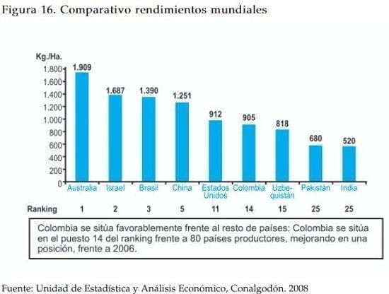 Comparativo rendimientos mundiales cultivo algodon Comparativo rendimientos mundiales cultivo algodon