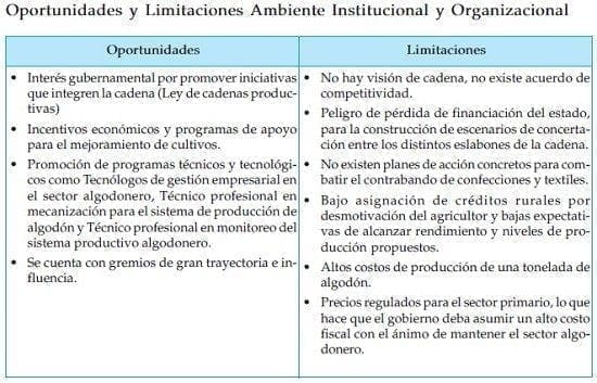 Oportunidades y Limitaciones Ambiente Institucional y Organizacional Oportunidades y Limitaciones Ambiente Institucional y Organizacional