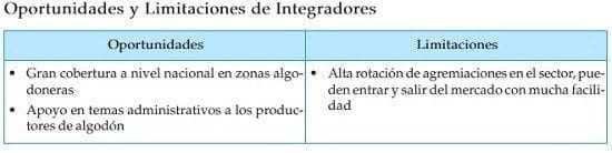 Oportunidades y Limitaciones de Integradores Oportunidades y Limitaciones de Integradores