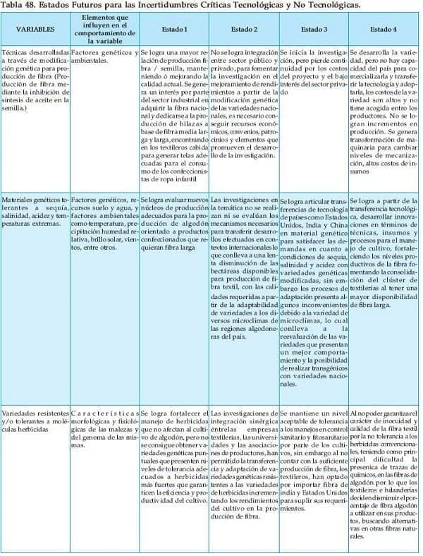 Estados Futuros para las Incertidumbres de la confeccion Estados Futuros para las Incertidumbres de la confeccion