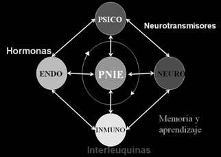 Psicoinmunoendocrinología Psicoinmunoendocrinología