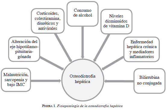figura1-fisiopatologia