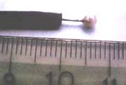 Bisturí endoscópico con punta de cerámica  Bisturí endoscópico con punta de cerámica