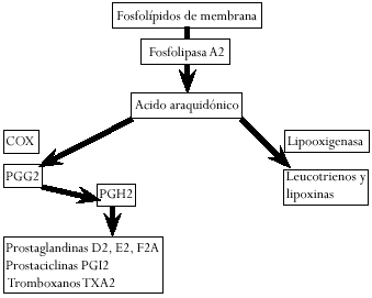 Fosfolípidos de membrana Fosfolípidos de membrana