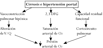 Patogenia de la hipoxemia Patogenia de la hipoxemia