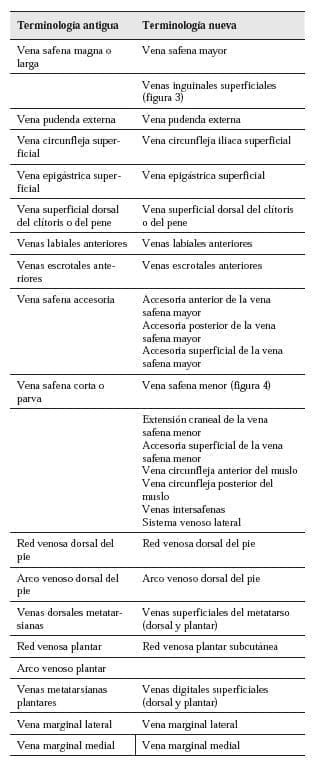 Terminologia vena safena mayor Terminologia vena safena mayor