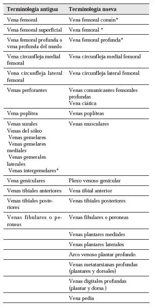 Terminologia de las Venas Musculares