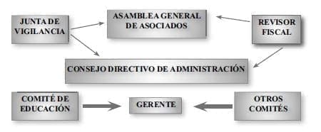 Estructura de las Cooperativas de Trabajo Asociado