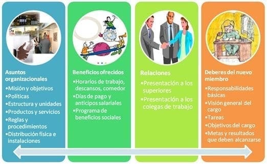 Programa de socialización Programa de socialización