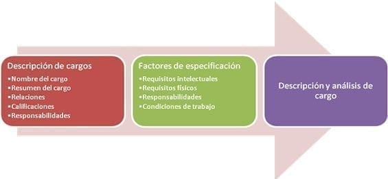 Diseño del cargos en la organización Diseño del cargos en la organización