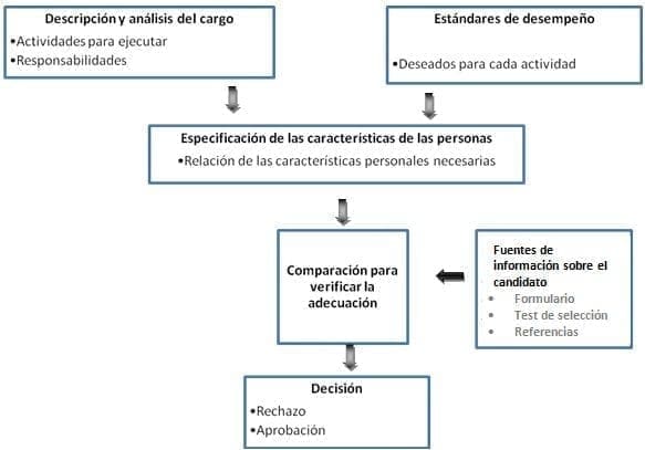 Proceso de selección del personal Proceso de selección del personal