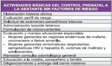 Actividades básicas del control prenatal Actividades básicas del control prenatal