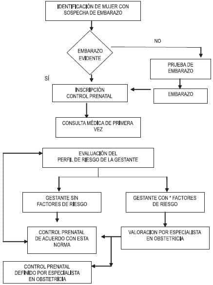 Flujograma embarazo Flujograma embarazo
