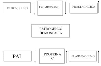 Estrógenos Hemostasia Estrógenos Hemostasia