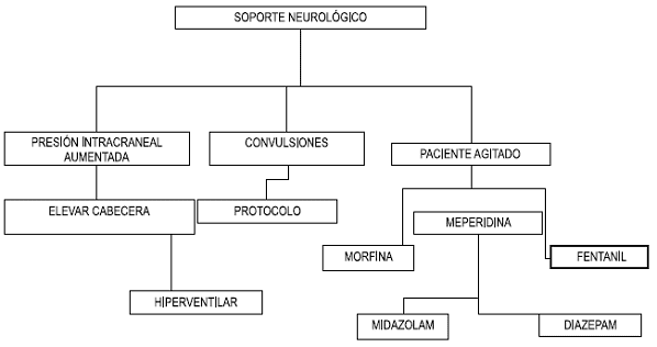 Soporte Neurológico Soporte Neurológico