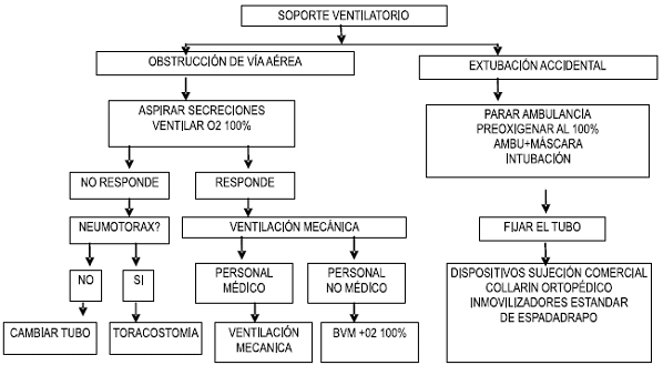 Soporte ventilatorio Soporte ventilatorio