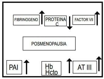 Estrogenos en la Menopausia Estrogenos en la Menopausia