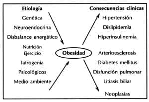 Lipoproteínas, Etiología de la obesidad Lipoproteínas, Etiología de la obesidad