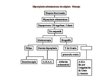 Hiperplasia adenomatosa sin  atipias