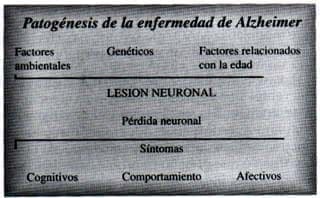 Patogenesis de la enfermedad Alzheimer Patogenesis de la enfermedad Alzheimer