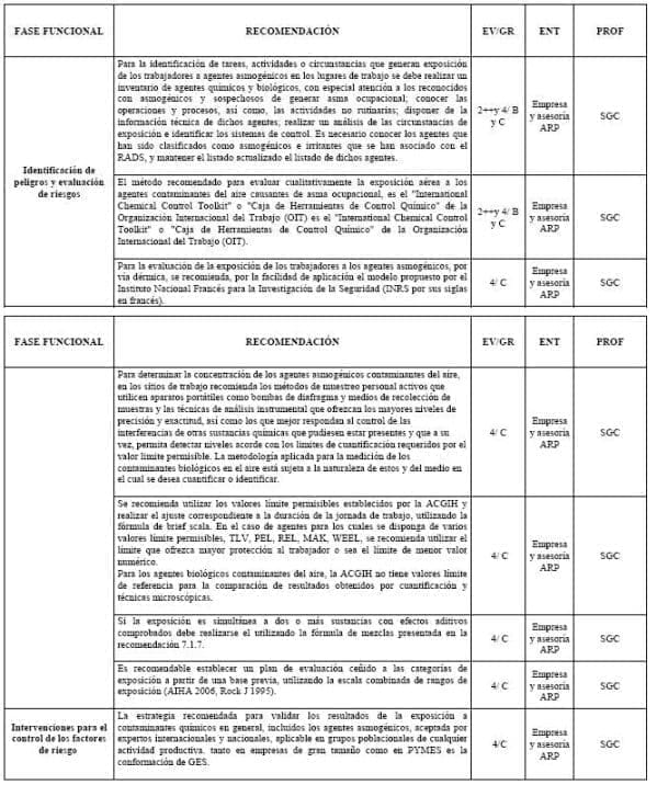 Matriz de responsabilidades para asma