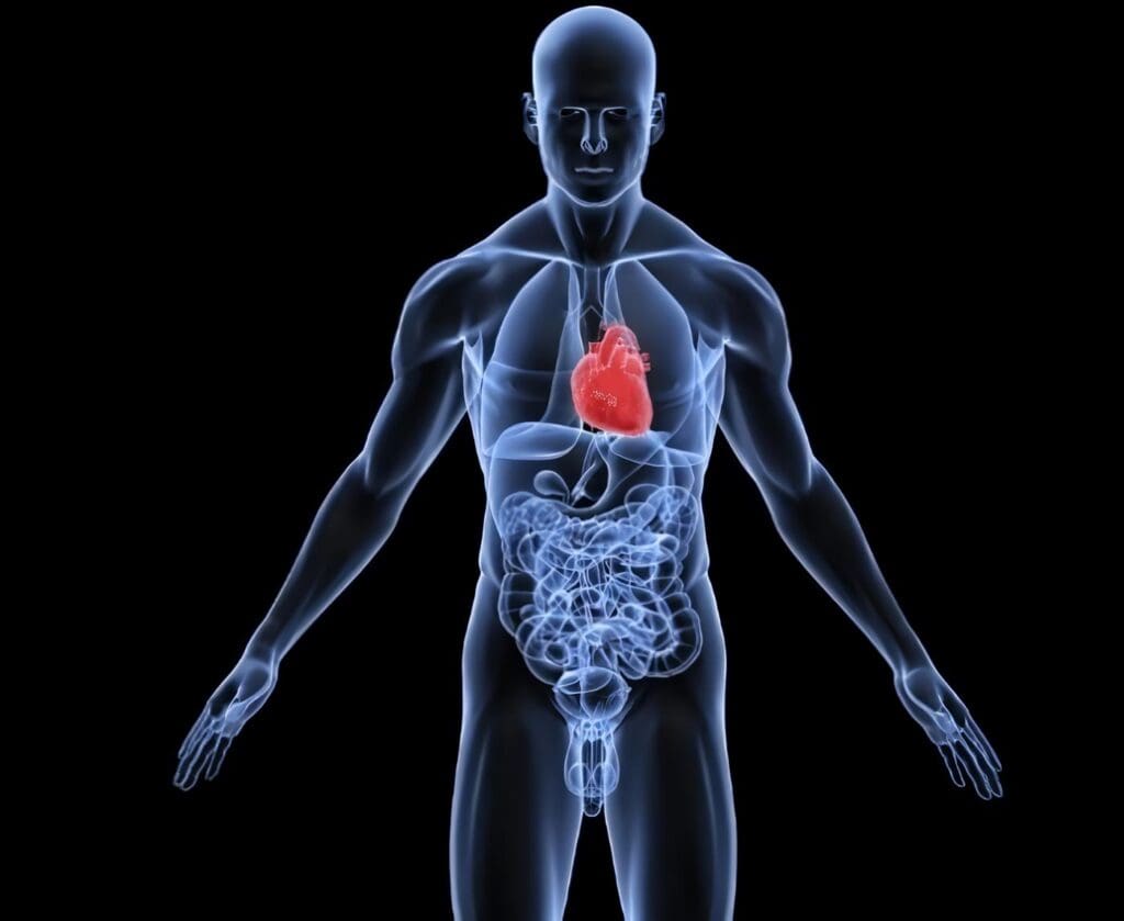 Taquicardia cardiaca