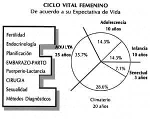 ciclo vital femenino ciclo vital femenino