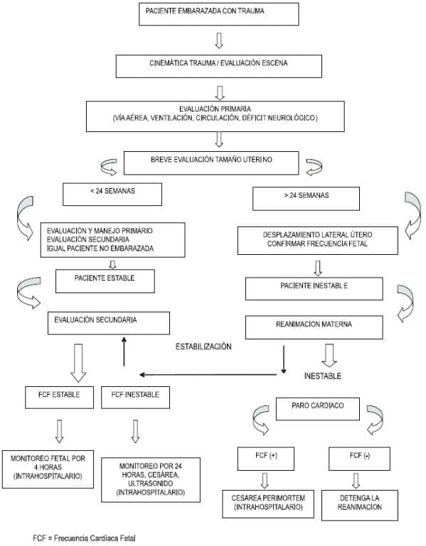 Mujer embarazada con trauma Mujer embarazada con trauma