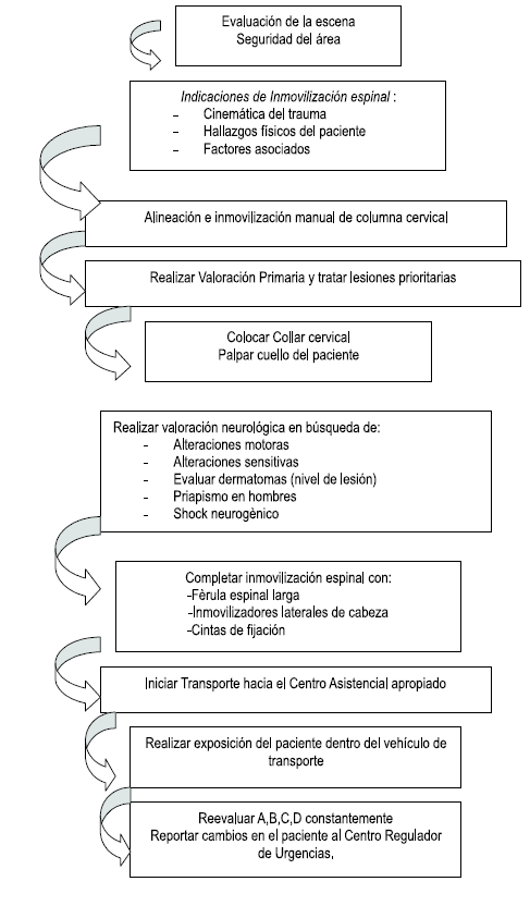 Inmovilización Espinal del paciente con Trauma