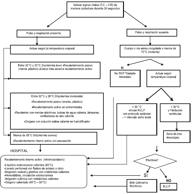 Tratamiento de hipotermia - Algoritmo Tratamiento de hipotermia - Algoritmo